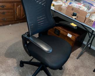 Terrific ergonomic desk chair!