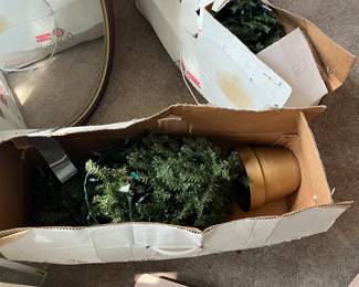Small Christmas trees in box