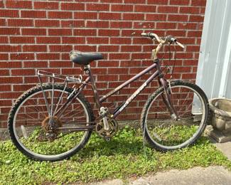Schwinn Bike Local Pickup