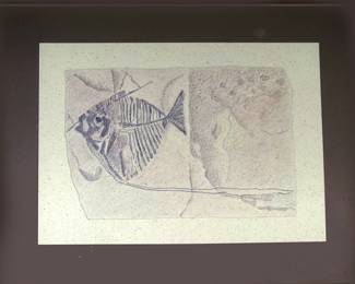 Framed Fossil Print