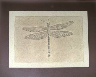 Framed Fossil Print