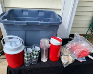 Picnic Party Mystery Lot