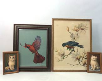 Birds & Cats