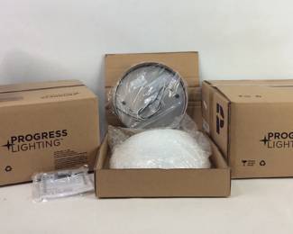 Progress Lighting Ceiling Light Fixture