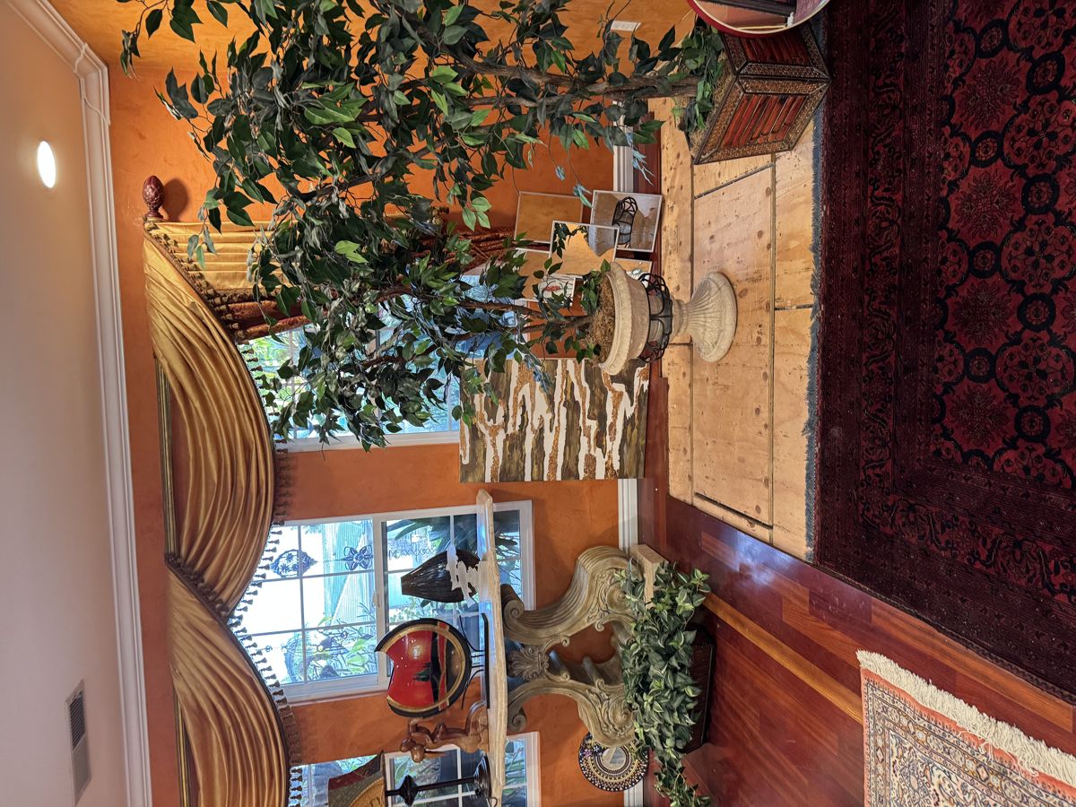Silk ficus trees. Sofa table, silk carpet and home decor 