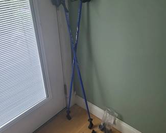 Nordic walking sticks. Ankle weights.