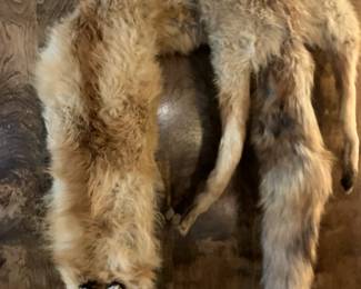 Real fox fur stole