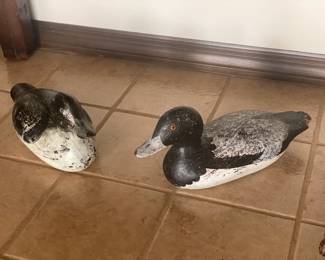Wood Ducks