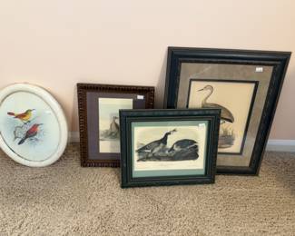 Framed Pictures
