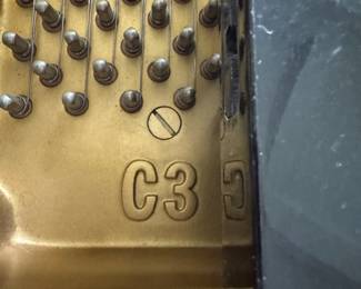 Model C3