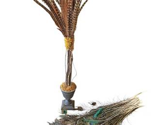Feather Decor