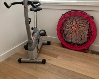 Schwinn Exercise Bike, Bungees