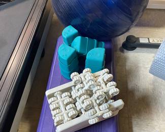 Aerobic step and balance ball