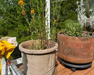 Assortment of Planters, Potted Plants
