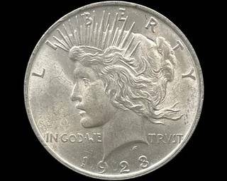 wIMG 1584 t