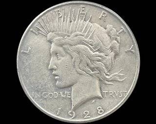 wIMG 1596 t