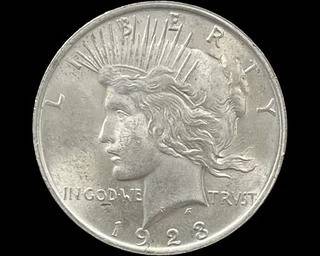 wIMG 1578 t