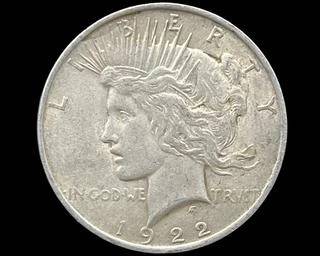 wIMG 1521 t