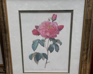 Floral Prints by Pierre-Joseph Redouté