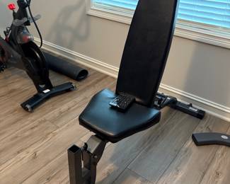 Inspire Weight bench - goes w -stack trainer 