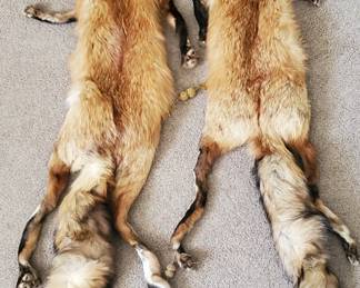 Vintage fox stole
