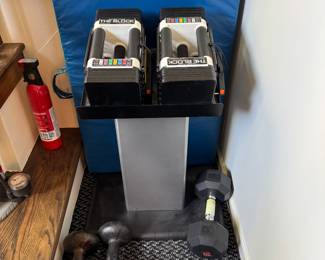 PowerBlock Adjustable Dumbbells & Stand.