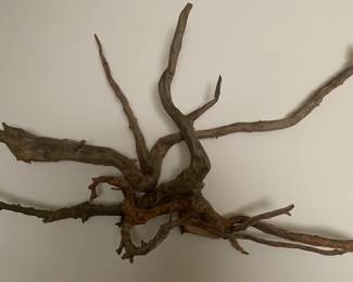Mid Century Drift Wood