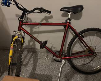 TREK BIKE