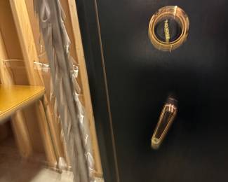 GUN SAFE