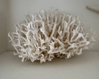 Coral.