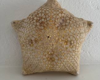 Starfish.