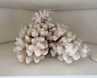 Coral.