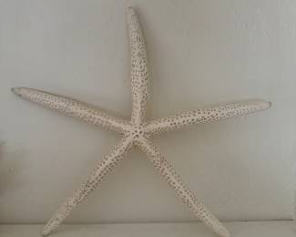 Starfish.