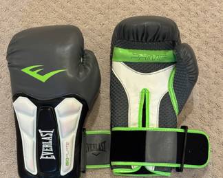 Everlast Green Trim Boxing Gloves.