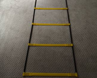 Agility Training Ladder.