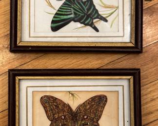 Pair of Small Butterfly Prints.