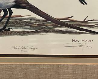 Ray Harm Signed Black-billed Magpie Bird Print