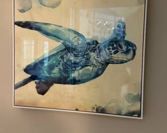 Turtle print