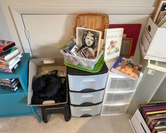Storage Bins