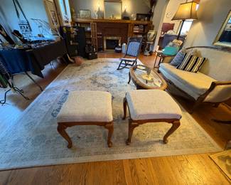 Area Rugs
