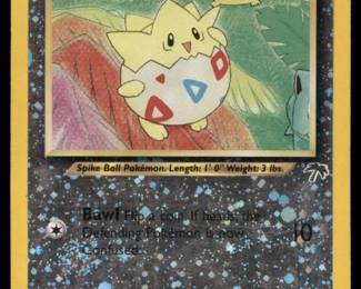 Pokemon Card