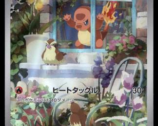Pokemon Card