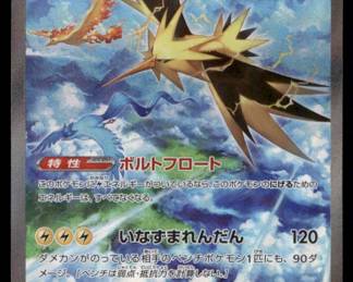 Pokemon Card