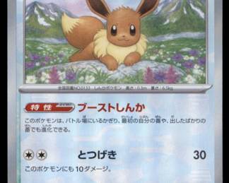 Pokemon Card