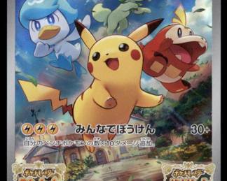 Pokemon Card
