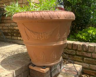 Outdoor Plants and pots