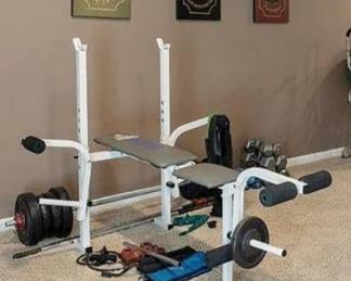 Weider Weight Bench, Weight Plates, Barbell, etc.