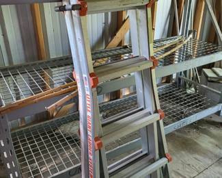Little Giant Ladder