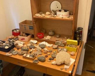 rocks and fossils