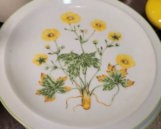 Royal Domino Collection "Sunrise" luncheon plates